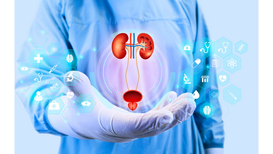 Understanding Prostate Cancer: Risks, Symptoms, and Early Detection